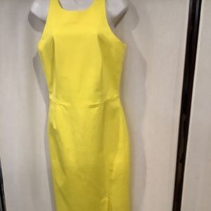 Banana Republic Dress Size 8 Tall